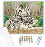  Szibériai tigris család - számfestő készlet - 40×50 cm (Keretre feszítve)