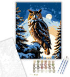  Éjjeli Bagoly Varázslat - számfestő készlet - 40×50 cm (Keretre feszítve)