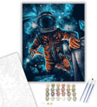 Számfestő Az Elveszett Űrhajós - számfestő készlet - 40×50 cm (Keretre feszítve) (dream042-40X50-KF)