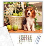 Számfestő Kutya almákkal - számfestő készlet - 40×50 cm (Keretre feszítve) (crea175-40X50-KF)