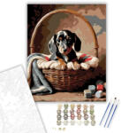 Számfestő Tacskó Kiskutya a Kosárban - számfestő készlet - 40×50 cm (Keretre feszítve) (crea5847-40X50-KF)