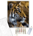  Tigris - számfestő készlet - 40×50 cm (Keretre feszítve)