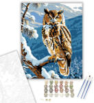  Bölcs Hegyi Bagoly - számfestő készlet - 40×50 cm (Keretre feszítve)