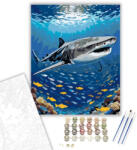  Óriáscápa a Korallzátonynál - számfestő készlet - 40×50 cm (Keretre feszítve)