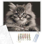 Számfestő Szürka cica - számfestő készlet - 40×50 cm (Keretre feszítve) (crea117-40X50-KF)