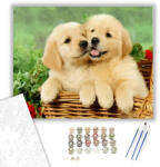Számfestő Kutyák a kosárban - számfestő készlet - 40×50 cm (Keretre feszítve) (crea001-40X50-KF)