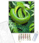 Számfestő Zöld Mamba a Dzsungel Indáin - számfestő készlet - 40×50 cm (Keretre feszítve) (crea6199-40X50-KF)