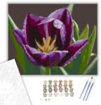  Harmatcseppes Lila Tulipán - számfestő készlet - 40×50 cm (Keretre feszítve)