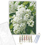  Harmatcseppes Fehér Orgona - számfestő készlet - 40×50 cm (Keretre feszítve)