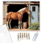  Kíváncsi Fiatal Csikó az Istállónál - számfestő készlet - 40×50 cm (Keretre feszítve)