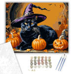  Boszorkányos Halloween Macskája - számfestő készlet - 40×50 cm (Keretre feszítve)