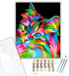 Számfestő Legszínesebb cica - számfestő készlet - 40×50 cm (Keretre feszítve) (crea280-40X50-KF)