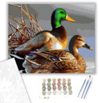 Számfestő Kacsák - számfestő készlet - 40×50 cm (Keretre feszítve) (crea110-40X50-KF)
