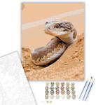 Számfestő Sivatagi Homoki Boa a Dűnék Között - számfestő készlet - 40×50 cm (Keretre feszítve) (crea6192-40X50-KF)