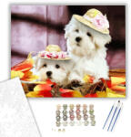 Számfestő Kutyák kalapban - számfestő készlet - 40×50 cm (Keretre feszítve) (crea090-40X50-KF)