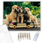 Számfestő Kiskutyák gördeszkán - számfestő készlet - 40×50 cm (Keretre feszítve) (crea574-40X50-KF)