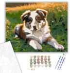 Számfestő Ausztrál Juhászkutya Kölyök a Napsütésben - számfestő készlet - 40×50 cm (Keretre feszítve) (crea5844-40X50-KF)