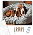  Alvó Basset Hound Kényelmes Ágyon - számfestő készlet - 50×60 cm (Keret nélkül)