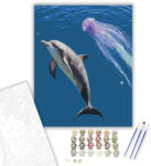  Kíváncsi Delfin - számfestő készlet - 40×50 cm (Keretre feszítve)