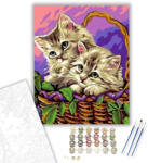  Kiscicák a kosárban - számfestő készlet - 40×50 cm (Keretre feszítve)
