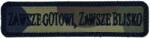 TM Patch - emblemă „Zawsze gotowi, zawsze blisko 100 x 25 mm - wz. 93 Pantera PL Woodland