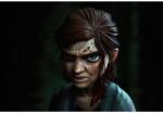 Plakát Ellie The Last Of Us 2. rész, 61x90 cm, poszter1682, többszínű (poster1682)
