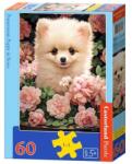 Castorland 60 db-os puzzle - Kiskutya rózsákkal (B-066261) (B-066261)