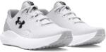 Under Armour Férfi futócipő Under Armour CHARGED SURGE 4 fehér 3027000-100 - EUR 42, 5 | UK 8 | US 9 Férfi futócipő