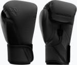 Hayabusa Mănuși de box Hayabusa T360 Boxing black