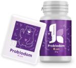 Kompava Supliment alimentar Kompava Probiodom KIDS, 60 g