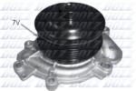 DOLZ Pompă de apă, răcire motor DOLZ M231 (M231)