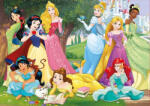 Educa Puzzle EDUCA Disney Princess 500 piese Puzzle