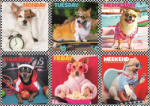 Trefl Puzzle TREFL Cățeluși veseli 200 piese Puzzle