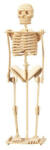 Wooden Toy / Wck JUCĂRIE DIN LEMN , Puzzle 3D WCK Schelet