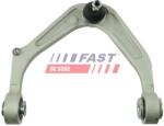 FAST Brat, suspensie roata FAST FT15151 (FT15151)