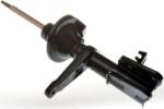 Denckermann amortizor DENCKERMANN DSB172G (DSB172G)