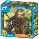Sparkys PUZZLE - Dragon Roșu Milvus 150 buc Puzzle