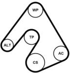 Continental Ctam Pompa apa + Set curea transmisie cu caneluri CONTINENTAL CTAM 5PK1207WP1 (5PK1207WP1)