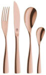 Carl Schmidt Sohn Carl Schmidt Sohn Set 24 tacamuri Bocholt Rose, inox, 3 mm Tacam
