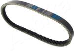 ASHIKA Curea de distributie ASHIKA 40-0W-W11 (40-0W-W11)
