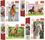 Trefl Display Puzzle Lumea cailor 54 piese (40 buc) Puzzle