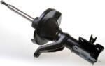 Denckermann amortizor DENCKERMANN DSB105G (DSB105G)