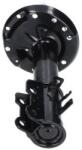 KAVO PARTS amortizor KAVO PARTS SSA-10848 (SSA-10848)