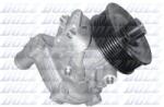 DOLZ Pompă de apă, răcire motor DOLZ F206 (F206)