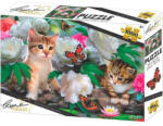 Prime 3D Puzzle Pisicuțe printre bujori 1000 piese - efistore - 128,99 RON