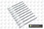 BGA Set surub, chiulasa BGA BK3387 (BK3387)