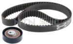SNR Set curea de distributie SNR KD455.59 (KD455.59)