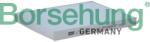 BORSEHUNG Filtru, aer habitaclu BORSEHUNG B10515 (B10515)