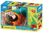 Prime 3D Puzzle Papagal 3D 48 piese