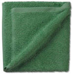 Kela Prosop Ladessa 100% bumbac verde frunze 50 x100cm KL-24594 Prosop